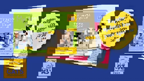 Image of Cat Sponsorship postal mailing